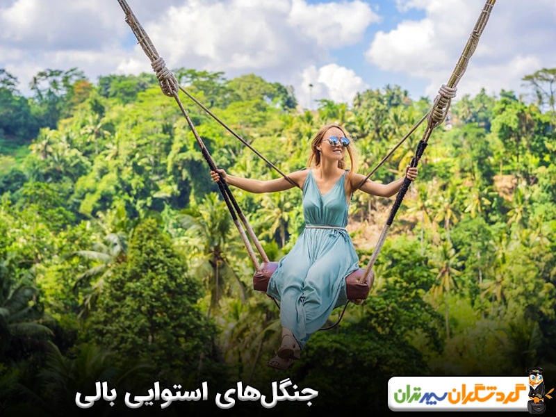 جنگل های استوایی در جزیره بالی