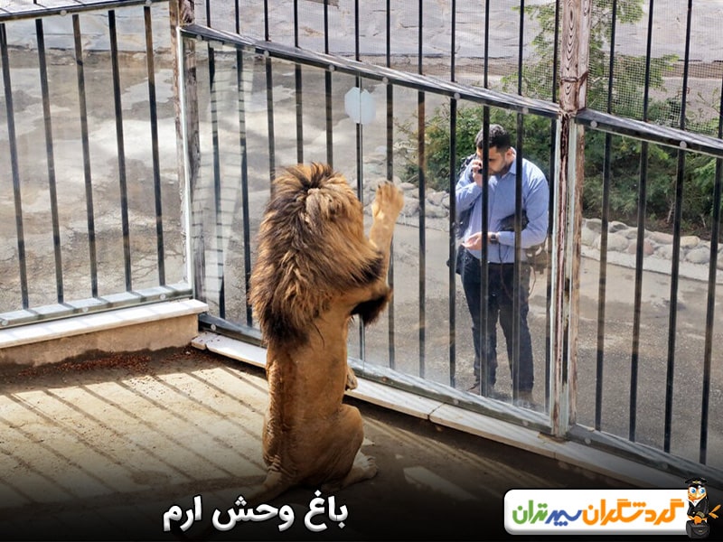 باغ وحش ارم