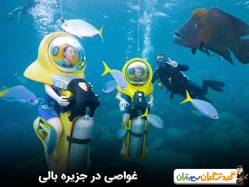 غواصی در جزیره بالی