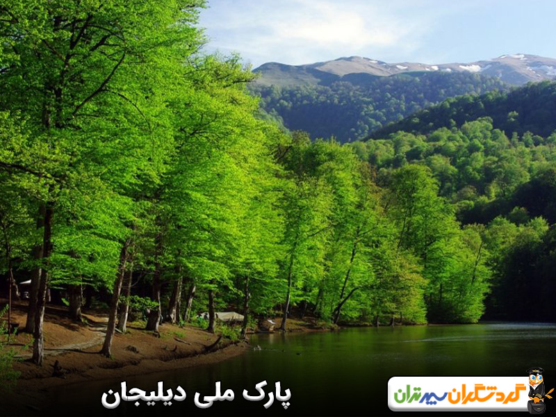 پارک ملی دیلیجان