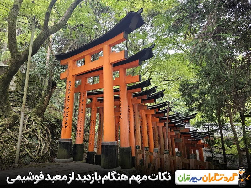 نکات مهم برای بازدید معبد فوشیمی 