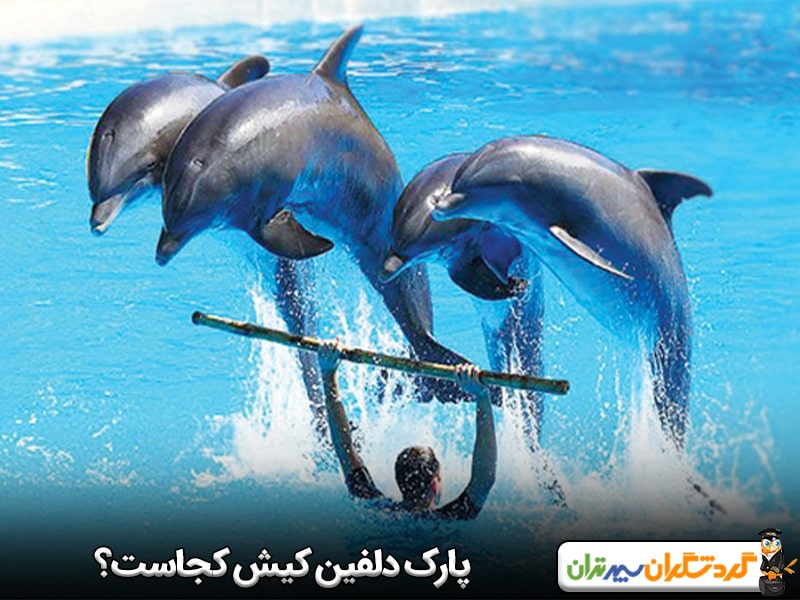 پارک دلفین کیش کجاست؟