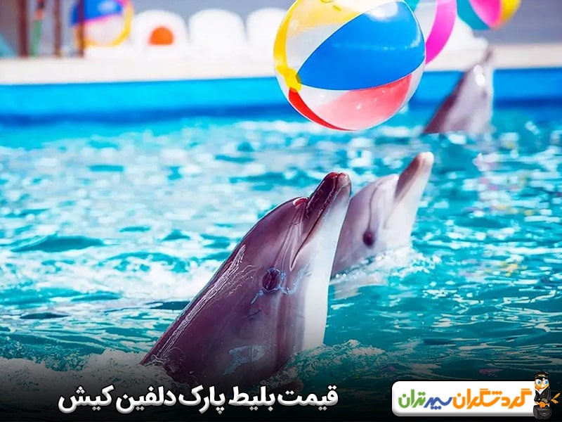 قیمت بلیط پارک دلفین کیش