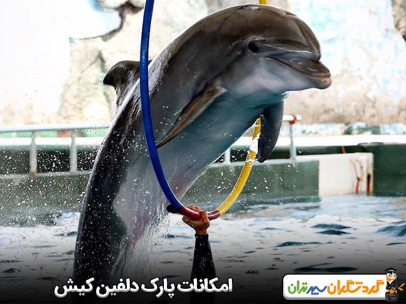 امکانات پارک دلفین کیش