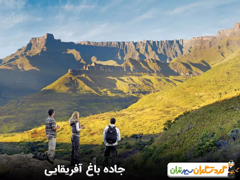 امکان سفر هیجان‌انگیز در جاده باغ آفریقایی در کل طول سال