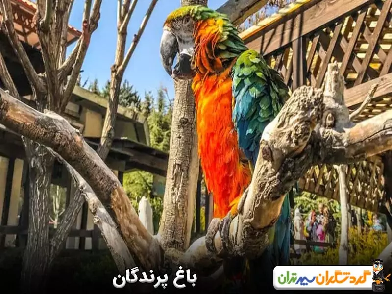 باغ پرندگان تهران