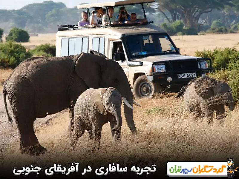 بهترین زمان برای سفر به آفریقای جنوبی برای تجربه سافاری