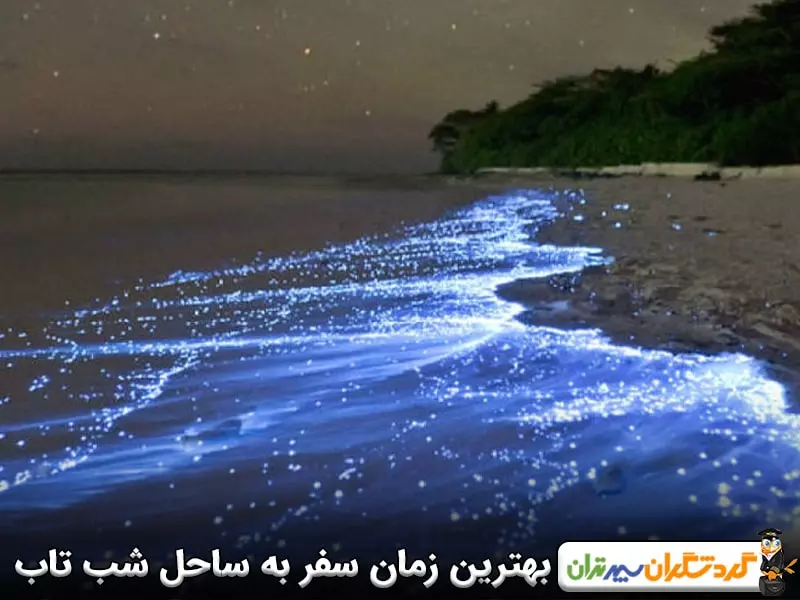 بهترین زمان سفر به ساحل شب تاب