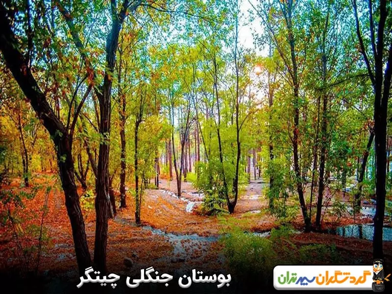 بوستان جنگلی چیتگر