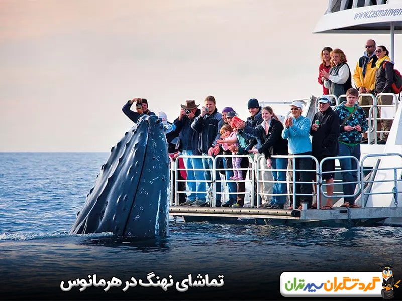 تماشای نهنگ در هرمانوس