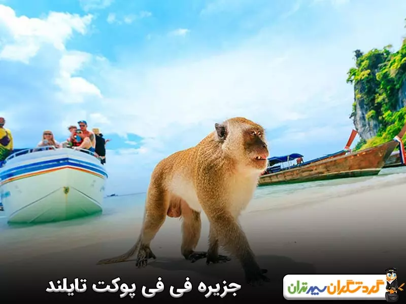 جزیره فی فی پوکت تایلند