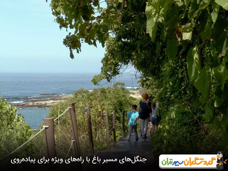 جنگل‌های مسیر باغ