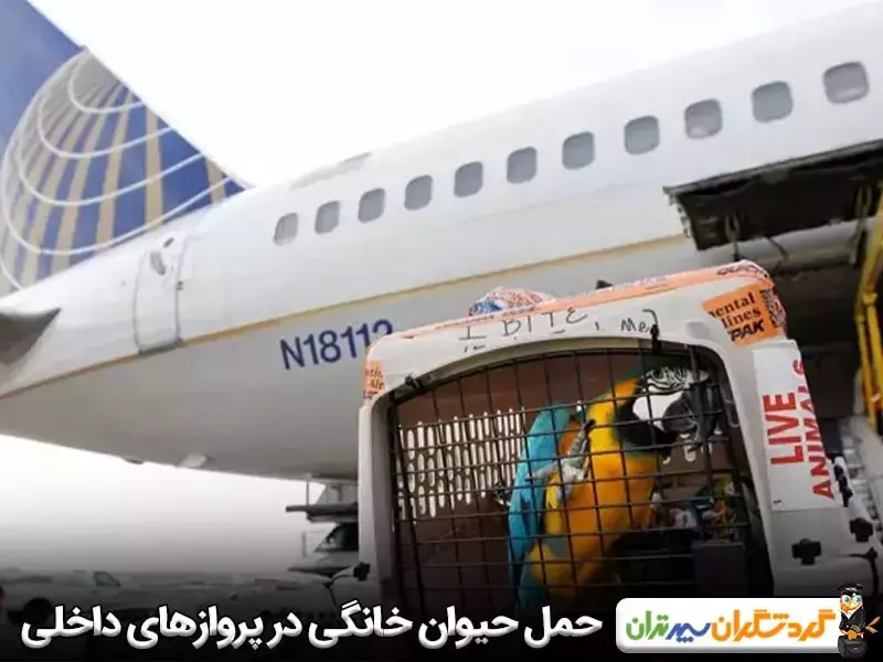 حمل حیوان خانگی در پروازهای داخلی