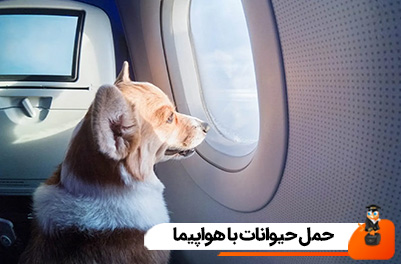 حمل حیوانات با هواپیما