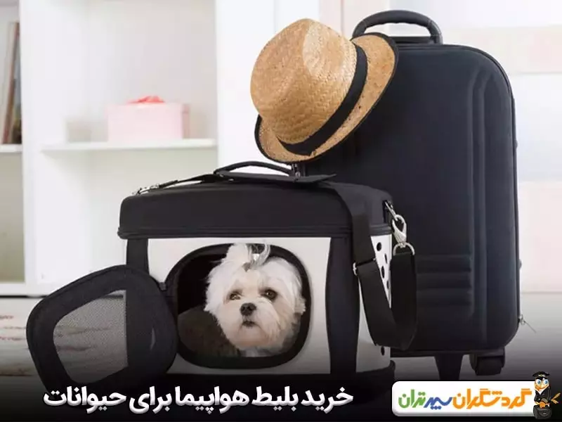 خرید بلیط هواپیما برای حیوانات