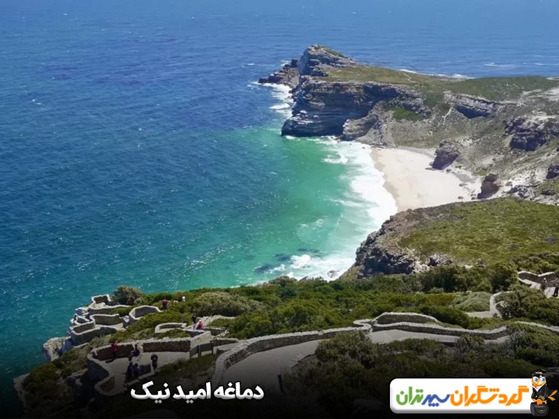 دماغه امید نیک