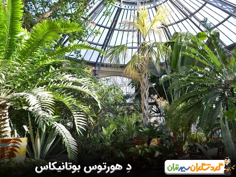 دِ هورتوس بوتانیکاس