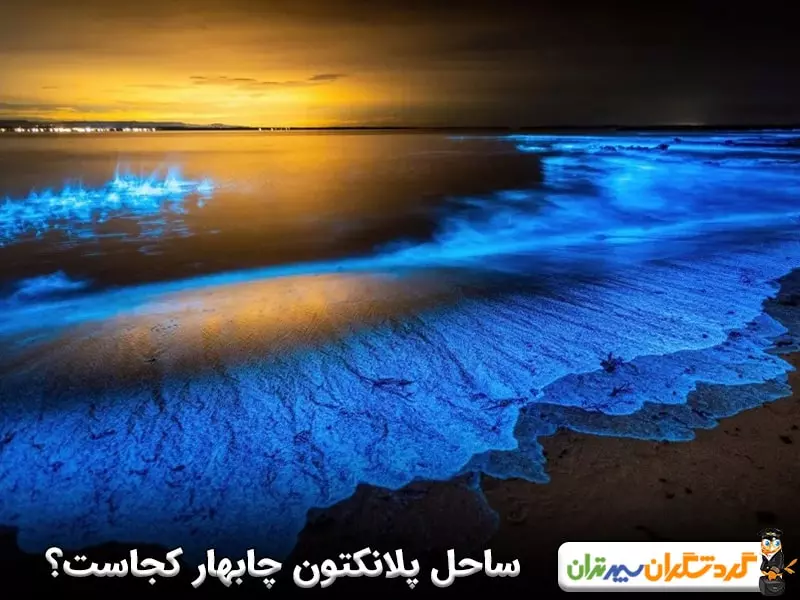 ساحل پلانکتون چابهار کجاست؟