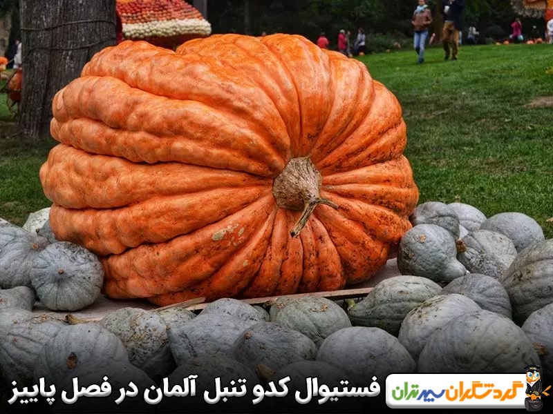 فستیوال کدو تنبل آلمان در فصل پاییز