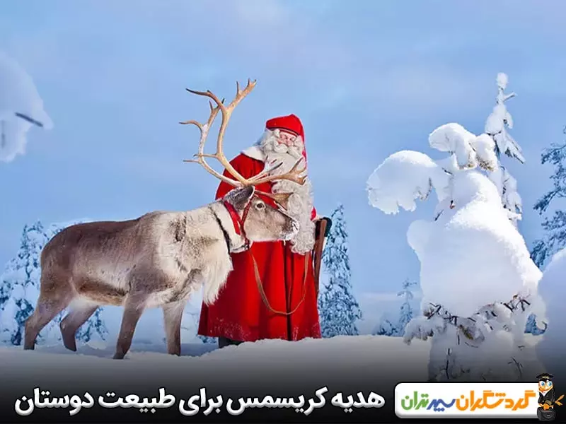 هدیه کریسمس برای طبیعت دوستان