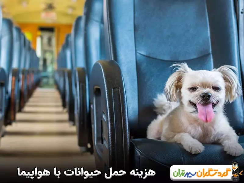 هزینه حمل حیوانات با هواپیما