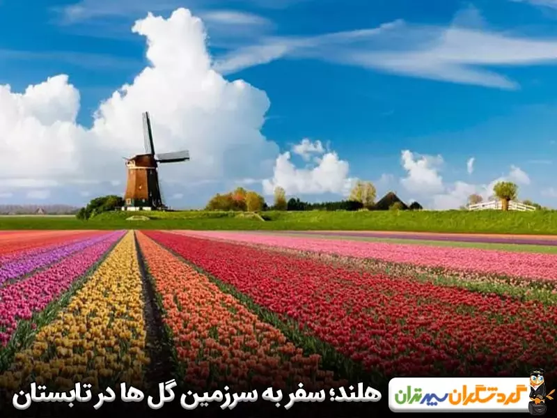 هلند؛ سفر به سرزمین گل ها در تابستان