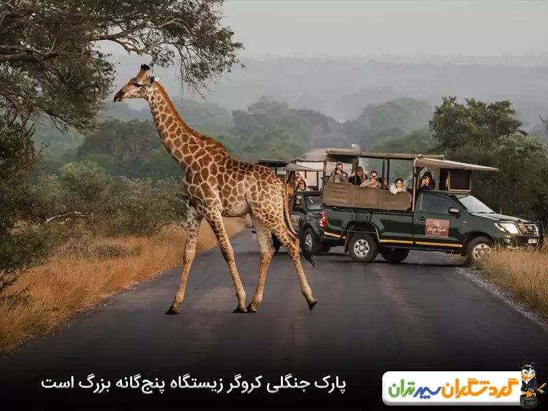 پارک جنگلی کروگر