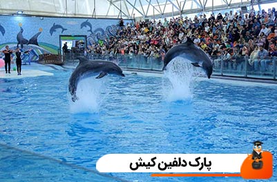 پارک دلفین کیش