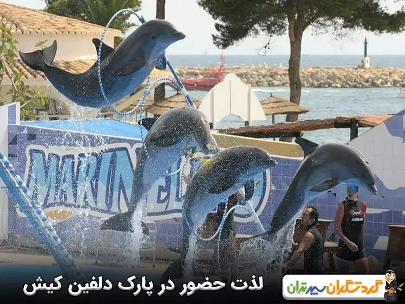 پارک دلفین؛ لذت بازدید از پستانداران دریایی
