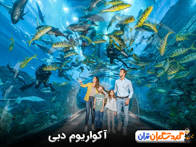 آکواریوم دبی