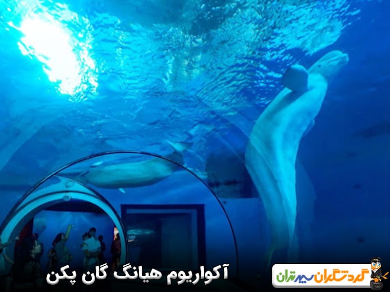 آکواریوم هیانگ گان پکن