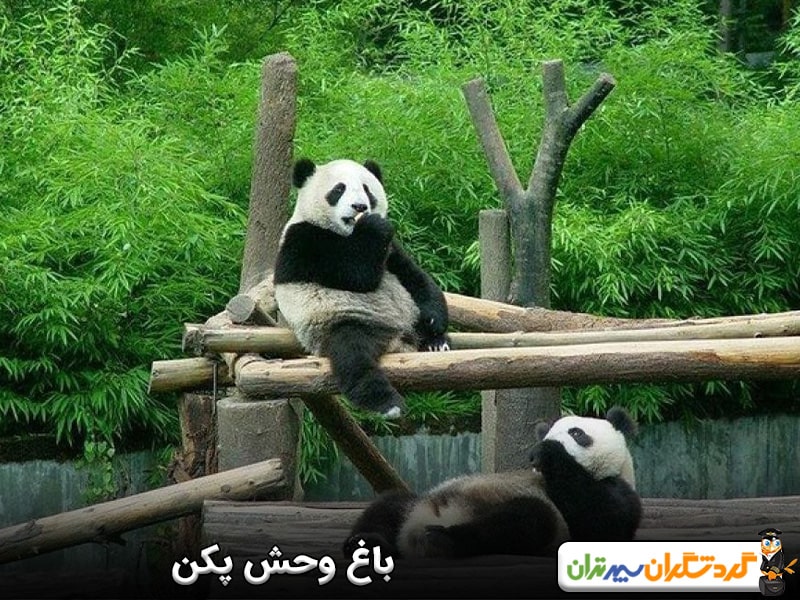  باغ وحش پکن