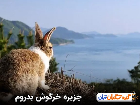 جزیره خرگوش بدروم