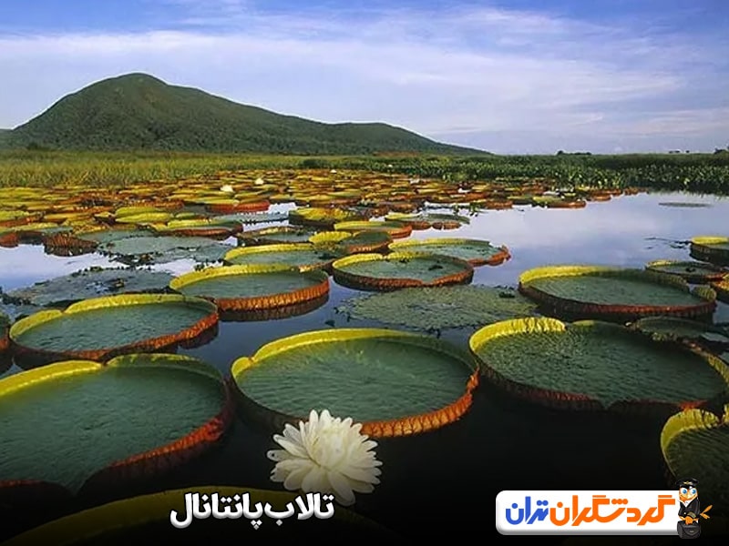 تالاب پانتانال