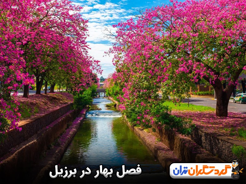 فصل بهار در برزیل چگونه است؟ | سفر بهاری به برزیل 