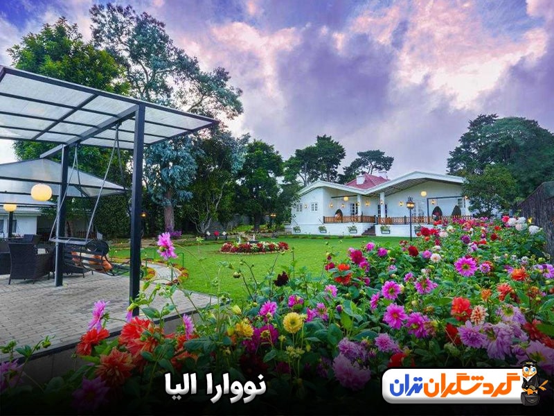 نووارا الیا