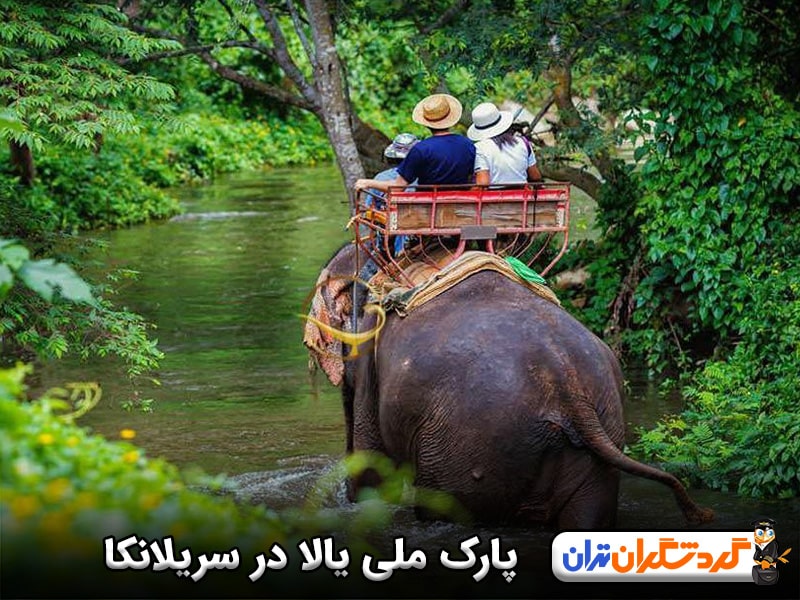 پارک ملی یالا در سریلانکا