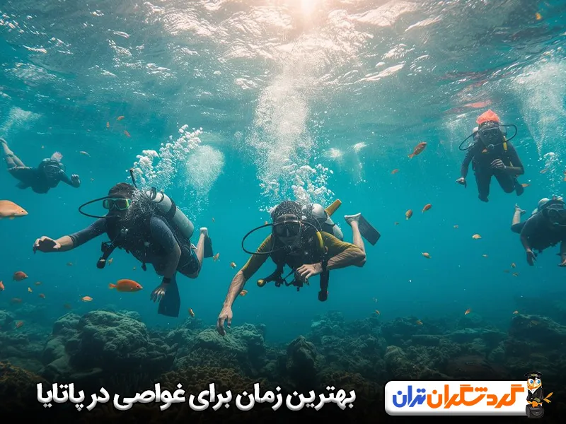 بهترین زمان برای غواصی در پاتایا کی هست؟